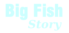 Big Fish Story, Inc.