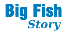 Big Fish Wholesale